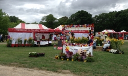 Chorley flower show